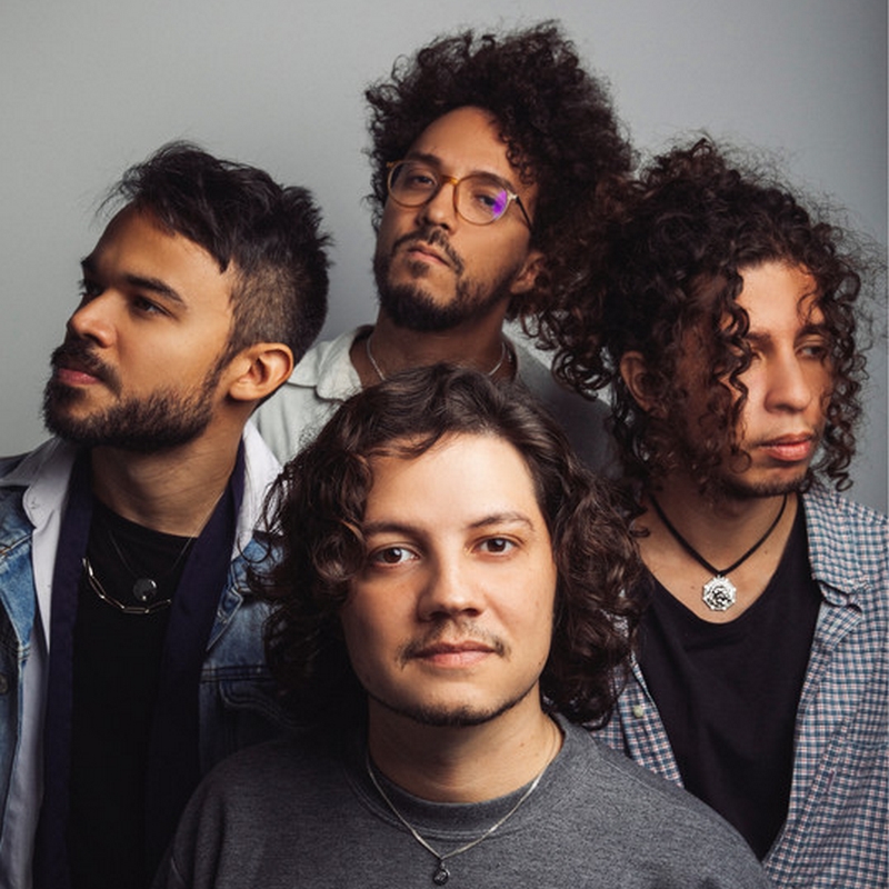 Selvagens à Procura de Lei