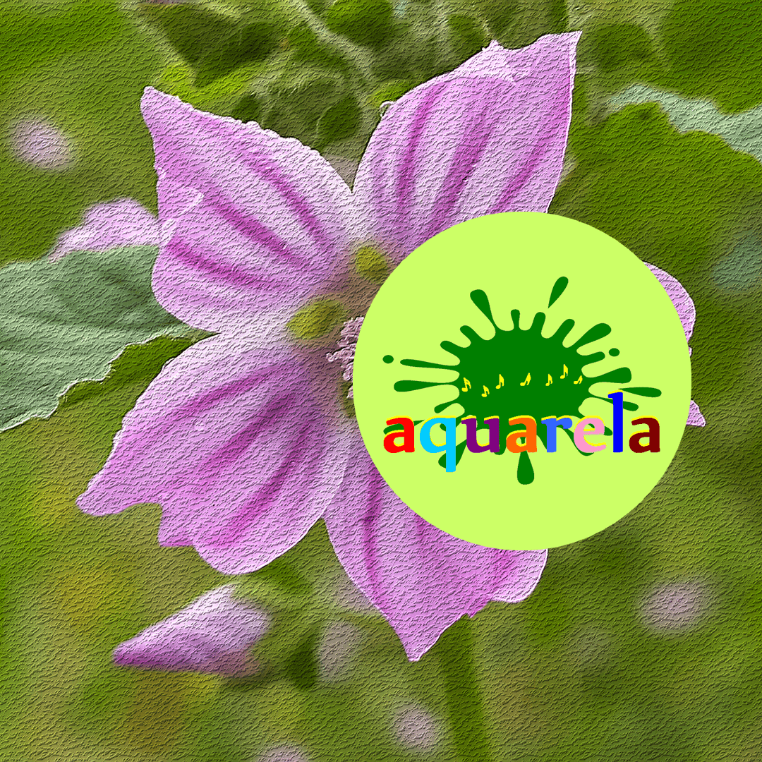 Aquarela na Universidade AM neste domingo, 01/12