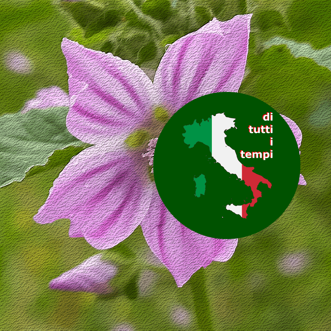 Di Tutti i Tempi na noite da Universidade AM, 01/12