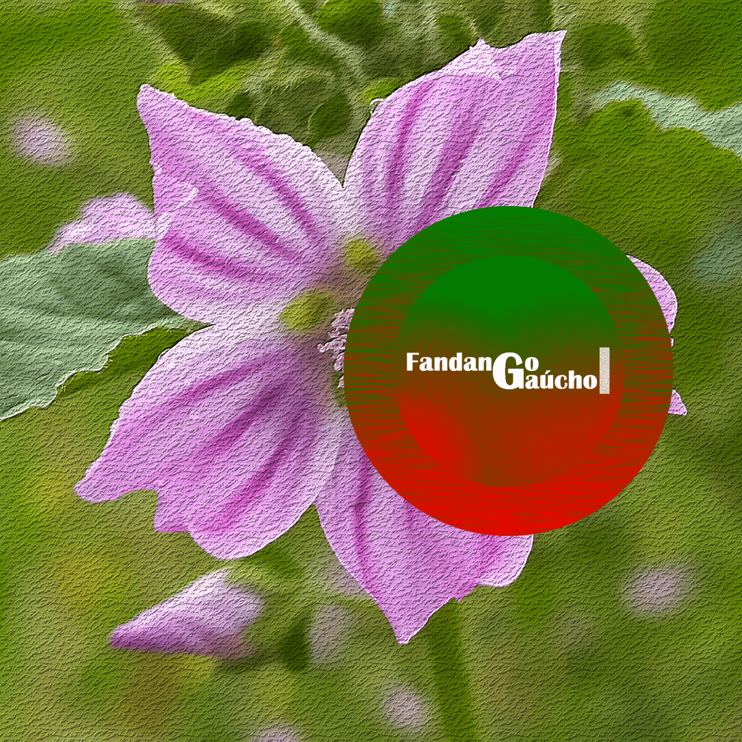 Fandango Gaúcho no entardecer da Universidade AM, 02/12