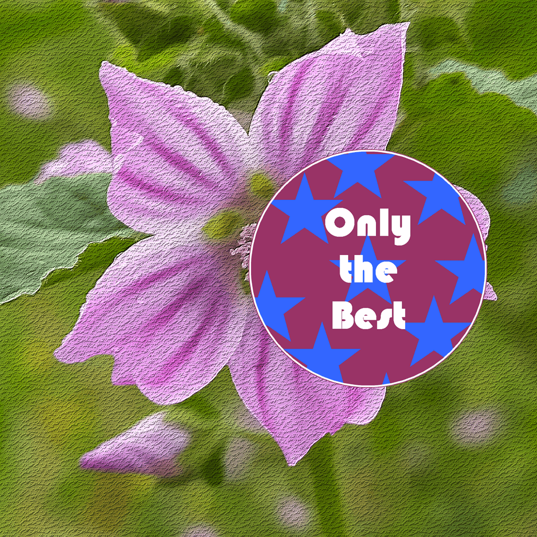 Only the Best na madrugada da Universidade AM, 02/12