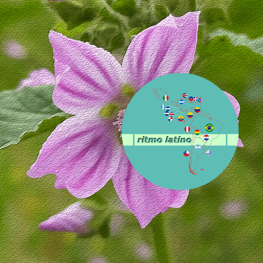 Ritmo Latino na programação dos 800 AM, 02/12