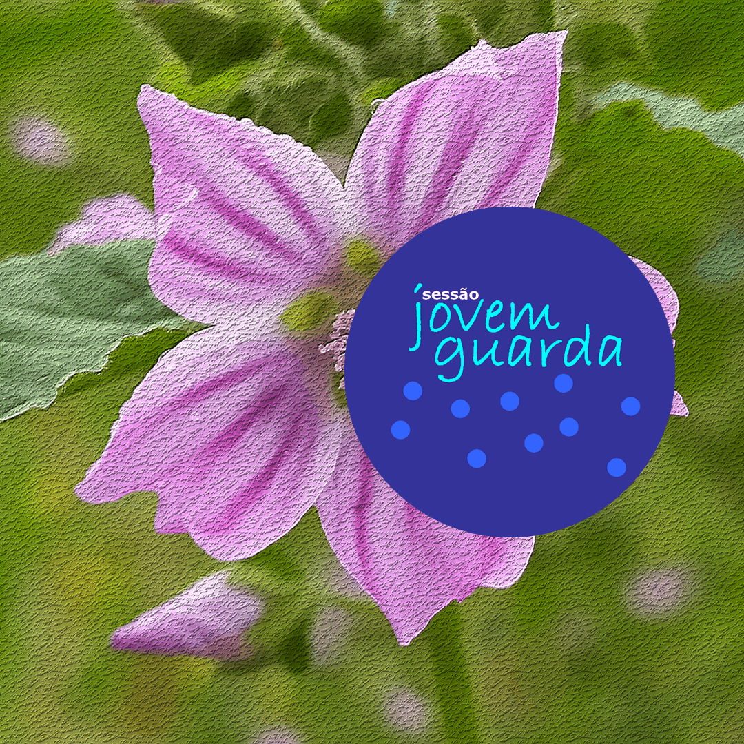 Sessão Jovem Guarda nos 800 AM neste domingo, 22/12