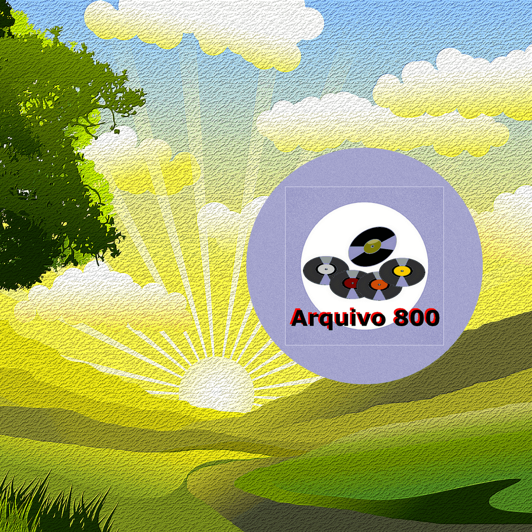 Arquivo 800