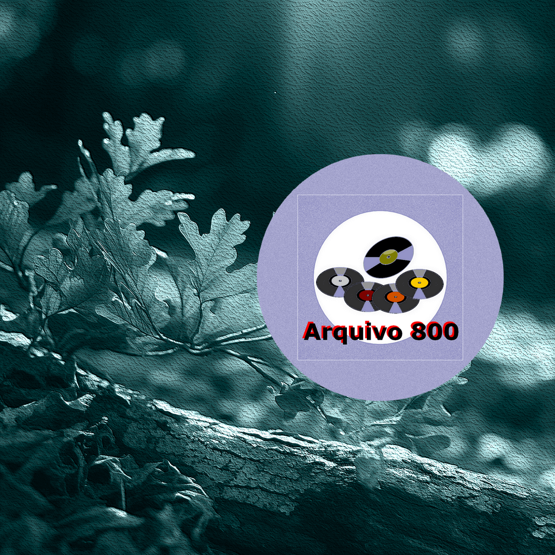 Arquivo 800