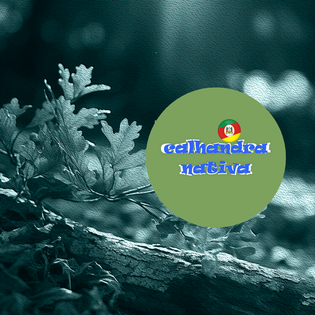 Calhandra Nativa na Universidade AM neste sábado, 14/06