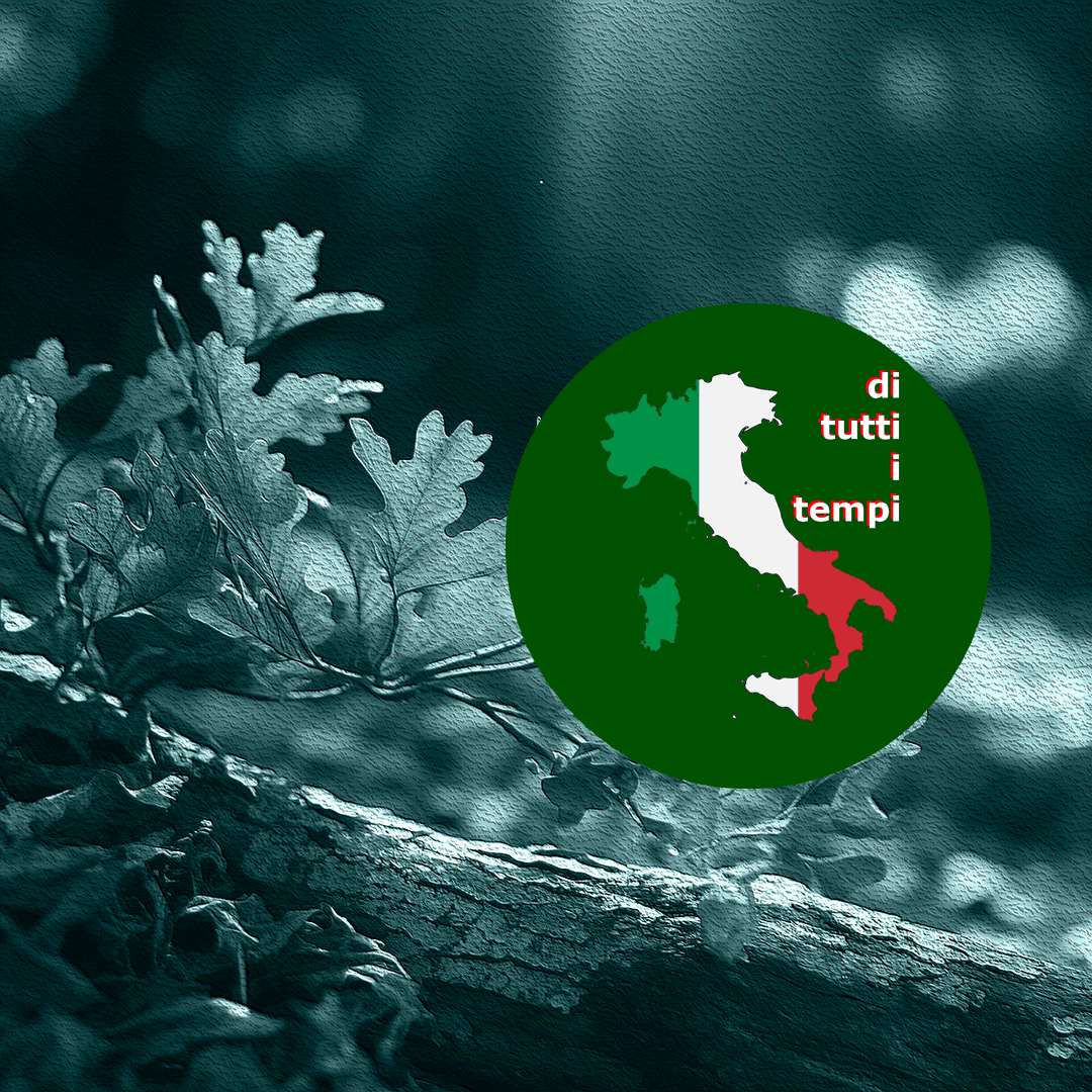 Di Tutti i Tempi na noite da Universidade AM, 28/03