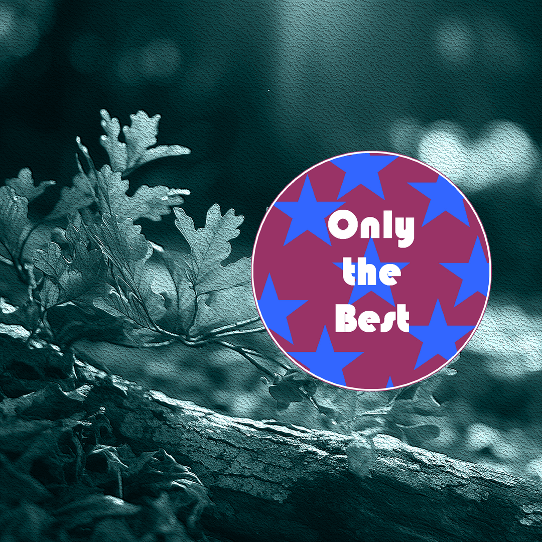 Only the Best na madrugada da Universidade AM, 29/03